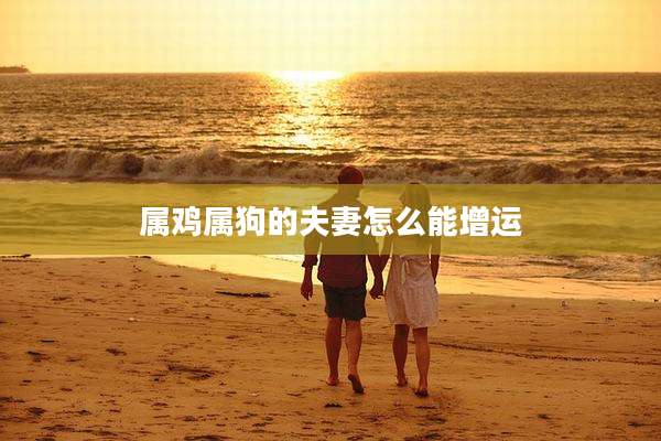 属鸡属狗的夫妻怎么能增运