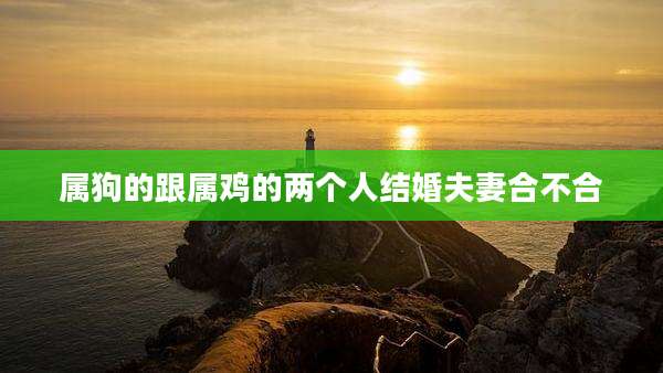 属狗的跟属鸡的两个人结婚夫妻合不合