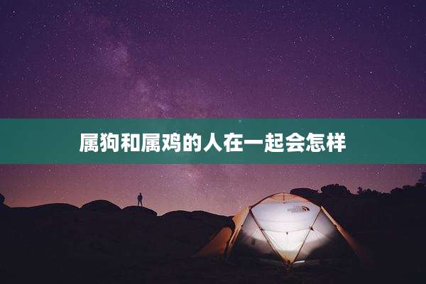 属狗和属鸡的人在一起会怎样
