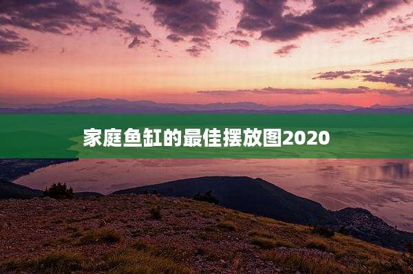 家庭鱼缸的最佳摆放图2020