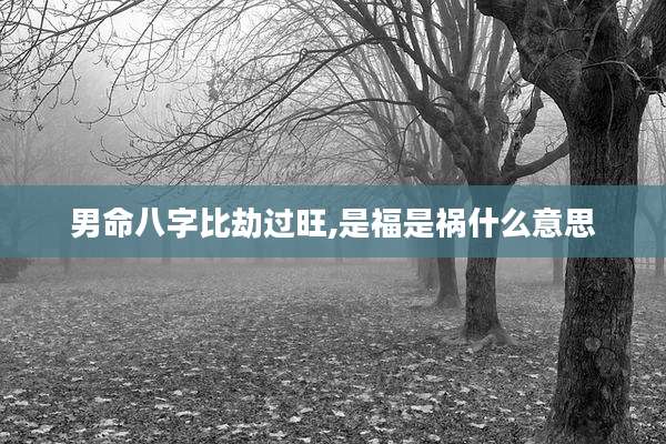 男命八字比劫过旺,是福是祸什么意思
