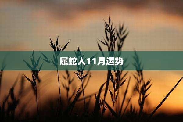 属蛇人11月运势