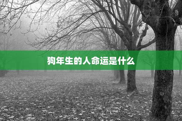 狗年生的人命运是什么