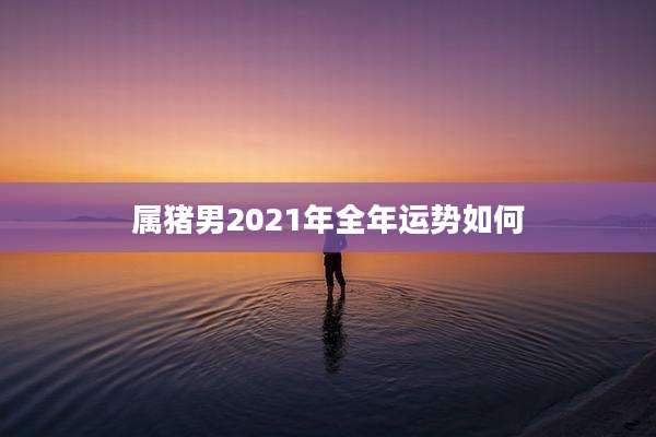属猪男2021年全年运势如何
