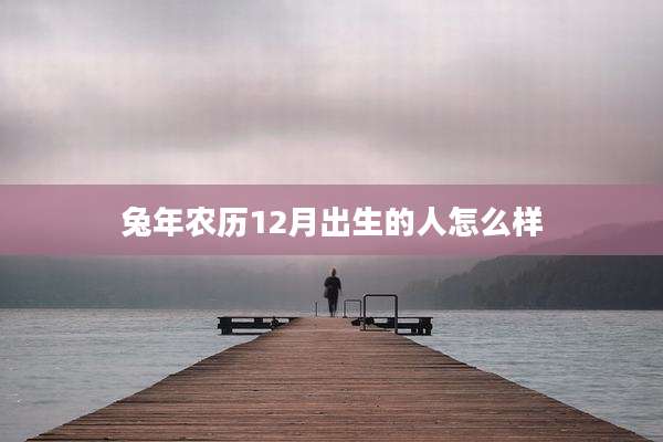 兔年农历12月出生的人怎么样