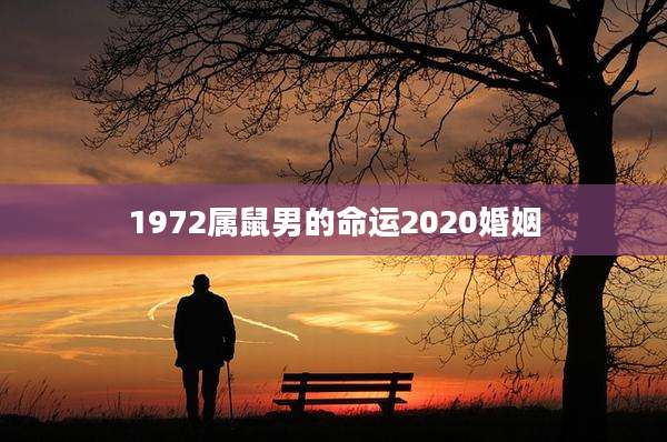 1972属鼠男的命运2020婚姻