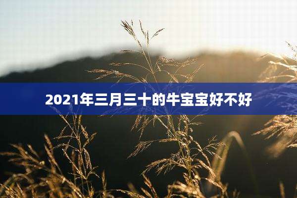 2021年三月三十的牛宝宝好不好