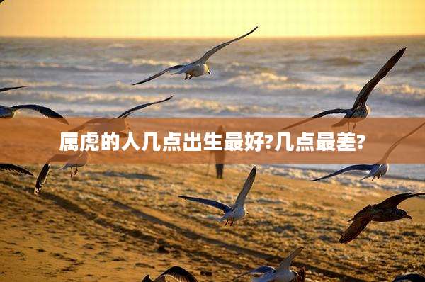 属虎的人几点出生最好?几点最差?