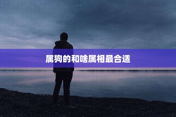 属狗的和啥属相最合适