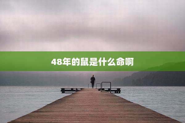 48年的鼠是什么命啊