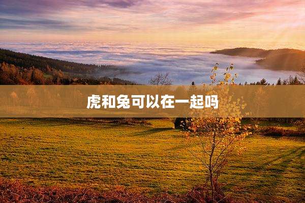 虎和兔可以在一起吗