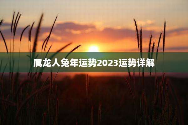 属龙人兔年运势2023运势详解