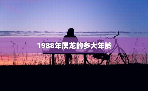 1988年属龙的多大年龄
