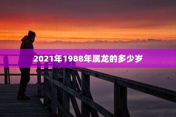 2021年1988年属龙的多少岁