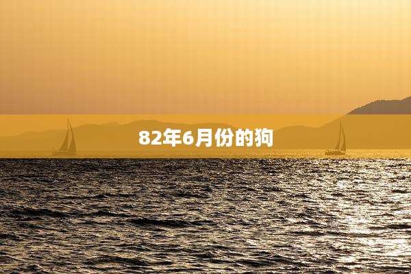 82年6月份的狗