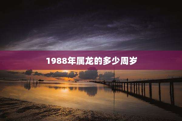 1988年属龙的多少周岁