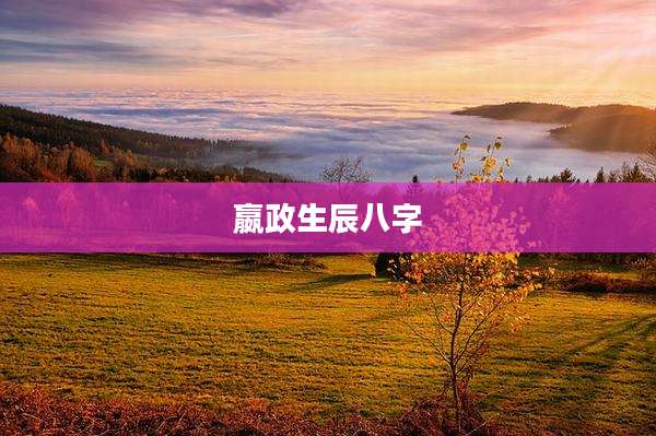 嬴政生辰八字