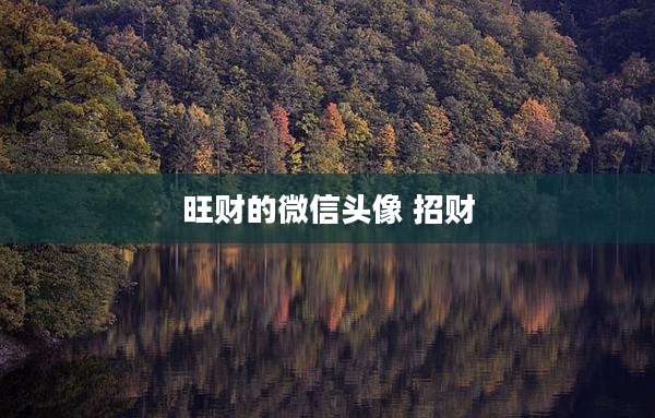 旺财的微信头像 招财