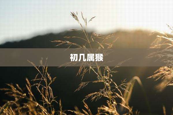 初几属猴