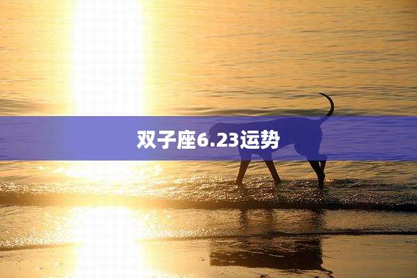 双子座6.23运势