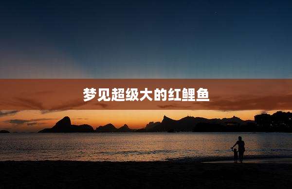 梦见超级大的红鲤鱼