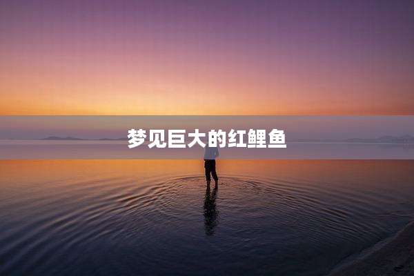 梦见巨大的红鲤鱼