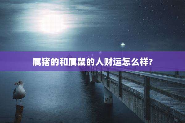 属猪的和属鼠的人财运怎么样?