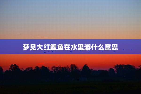 梦见大红鲤鱼在水里游什么意思