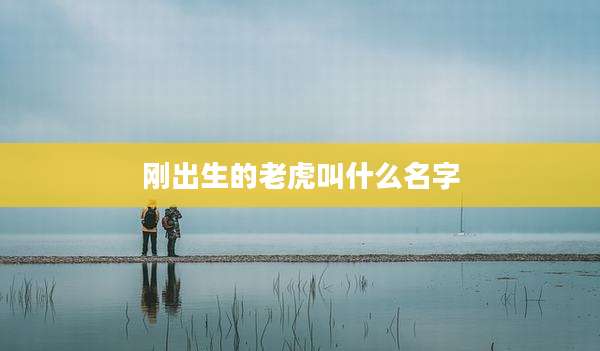 刚出生的老虎叫什么名字
