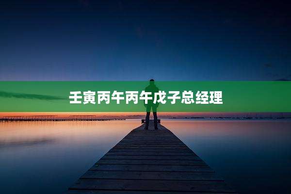壬寅丙午丙午戊子总经理