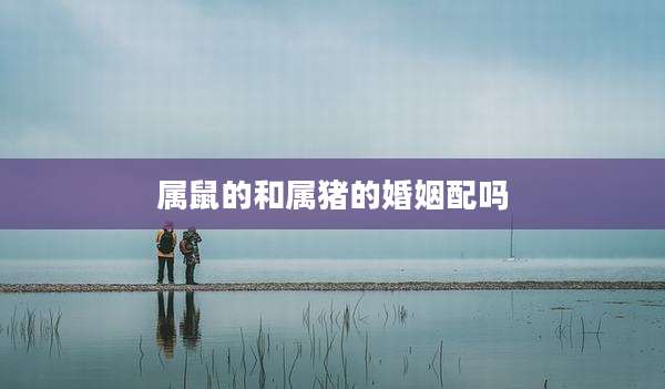 属鼠的和属猪的婚姻配吗
