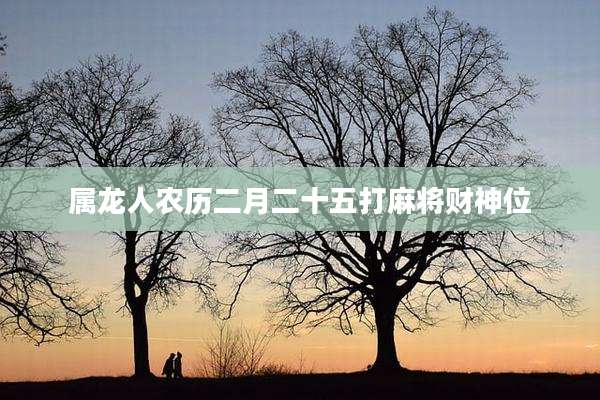 属龙人农历二月二十五打麻将财神位