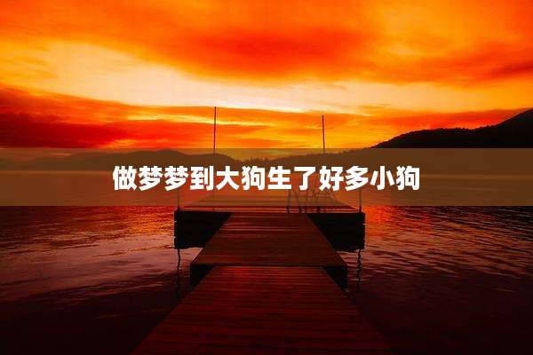做梦梦到大狗生了好多小狗