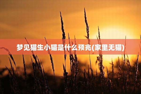 梦见猫生小猫是什么预兆(家里无猫)