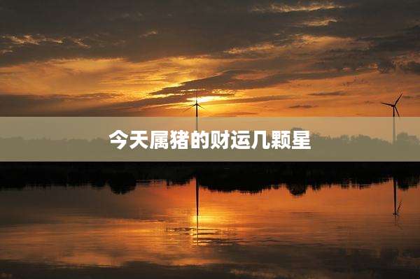 今天属猪的财运几颗星
