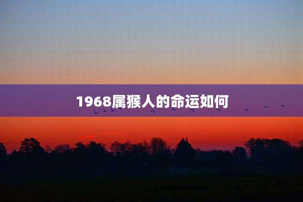 1968属猴人的命运如何