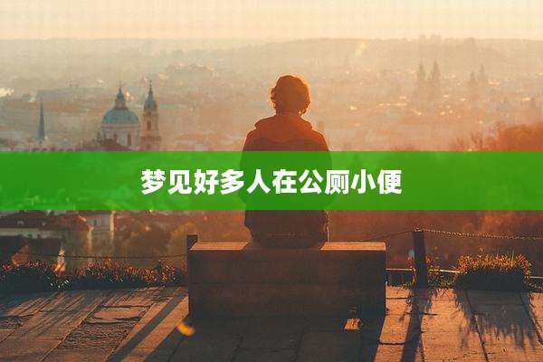 梦见好多人在公厕小便
