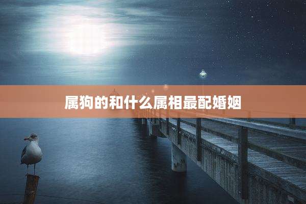 属狗的和什么属相最配婚姻