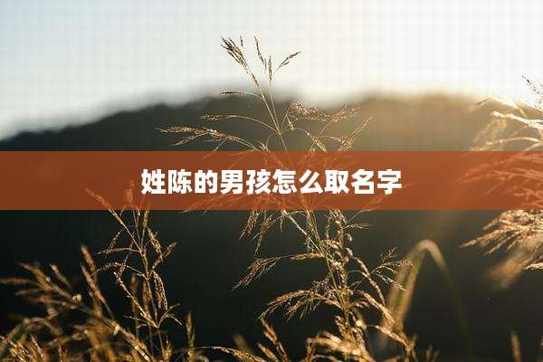 姓陈的男孩怎么取名字