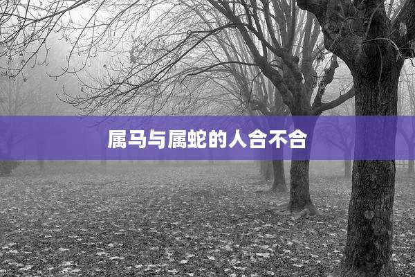 属马与属蛇的人合不合