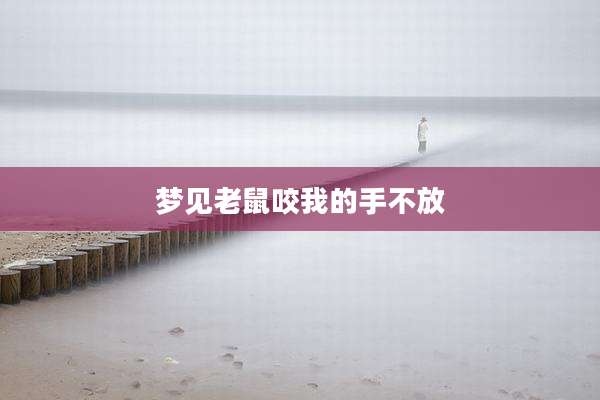 梦见老鼠咬我的手不放