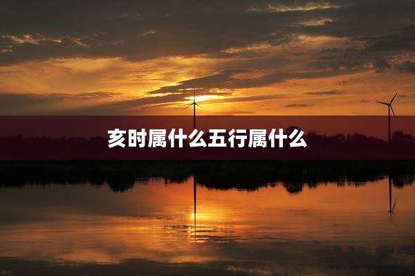 亥时属什么五行属什么