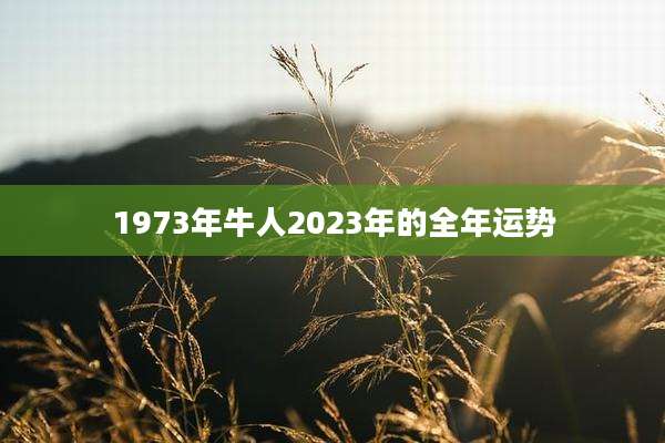 1973年牛人2023年的全年运势