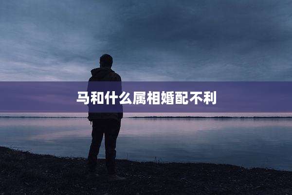 马和什么属相婚配不利