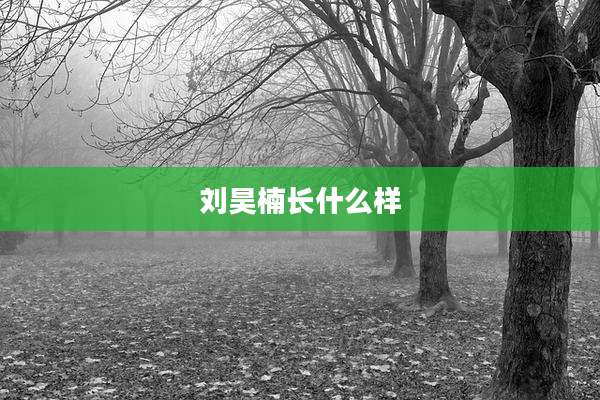 刘昊楠长什么样