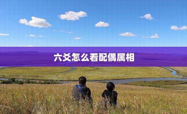 六爻怎么看配偶属相