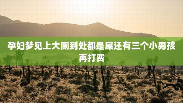 孕妇梦见上大厕到处都是屎还有三个小男孩再打费