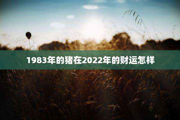 1983年的猪在2022年的财运怎样
