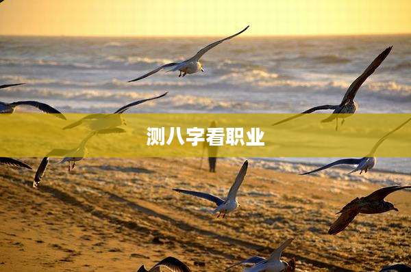 测八字看职业