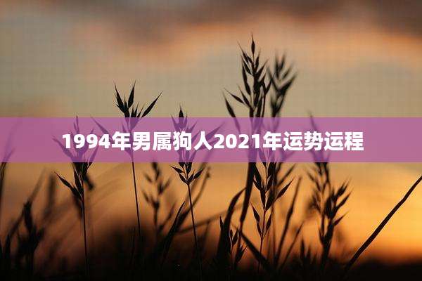 1994年男属狗人2021年运势运程